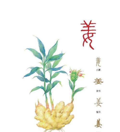 《探索神秘世界，成就传奇御灵师》（少年御灵师姜皇后介绍）