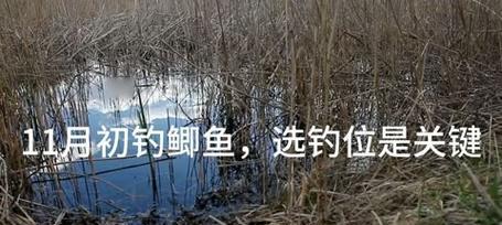 河道野钓，寻找最佳钓位的技巧（如何选取合适的钓位提高野钓成功率）