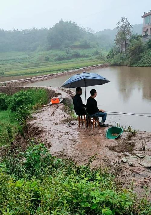 秋季雨天海岸钓鱼技巧（钓鱼高手分享最佳时机）