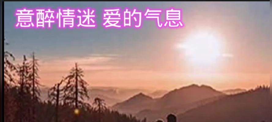 如果我是一朵花（用花的视角看人生）