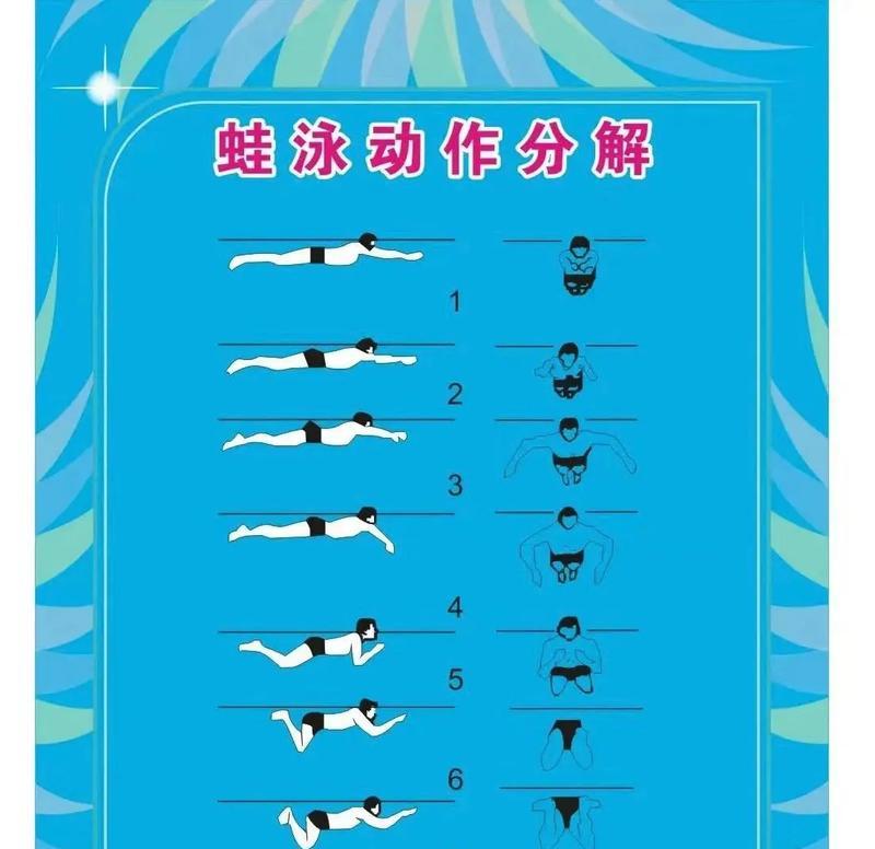 如何通过手一换气的自由泳技巧提高游泳效率（掌握正确的换气技巧，游出高效率自由泳）