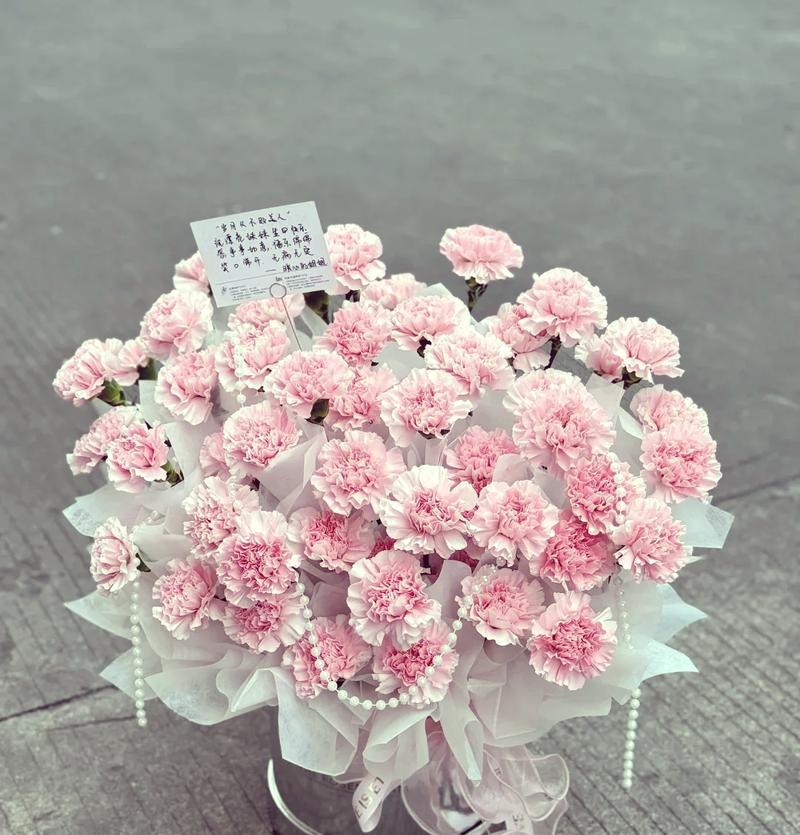 送康乃馨，传递浪漫与美好（以鲜花之语，表达情感与祝福）