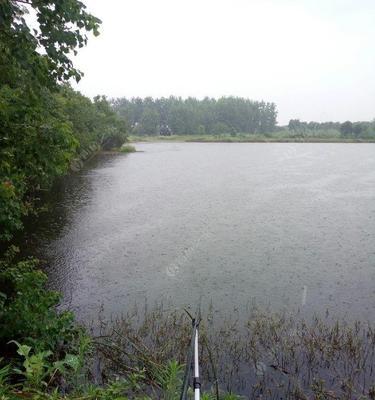 水线太深钓鱼的方法技巧（轻松应对深水钓鱼，掌握这几招让你事半功倍）