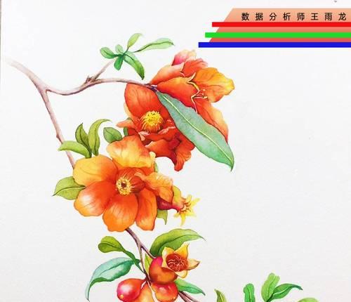 石榴花语（石榴花开放的美丽——探寻爱与繁荣的意义）