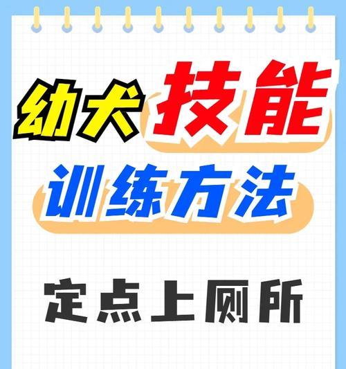 训练幼犬回应名字的方法（如何让你的宠物听从你的召唤？）