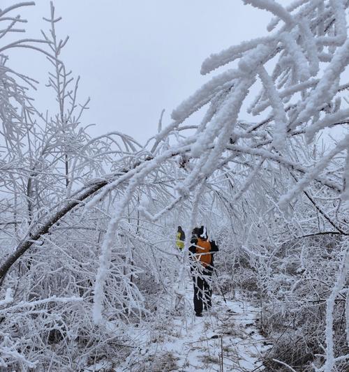 北国飞雪（一个关于勇气与坚韧的故事）
