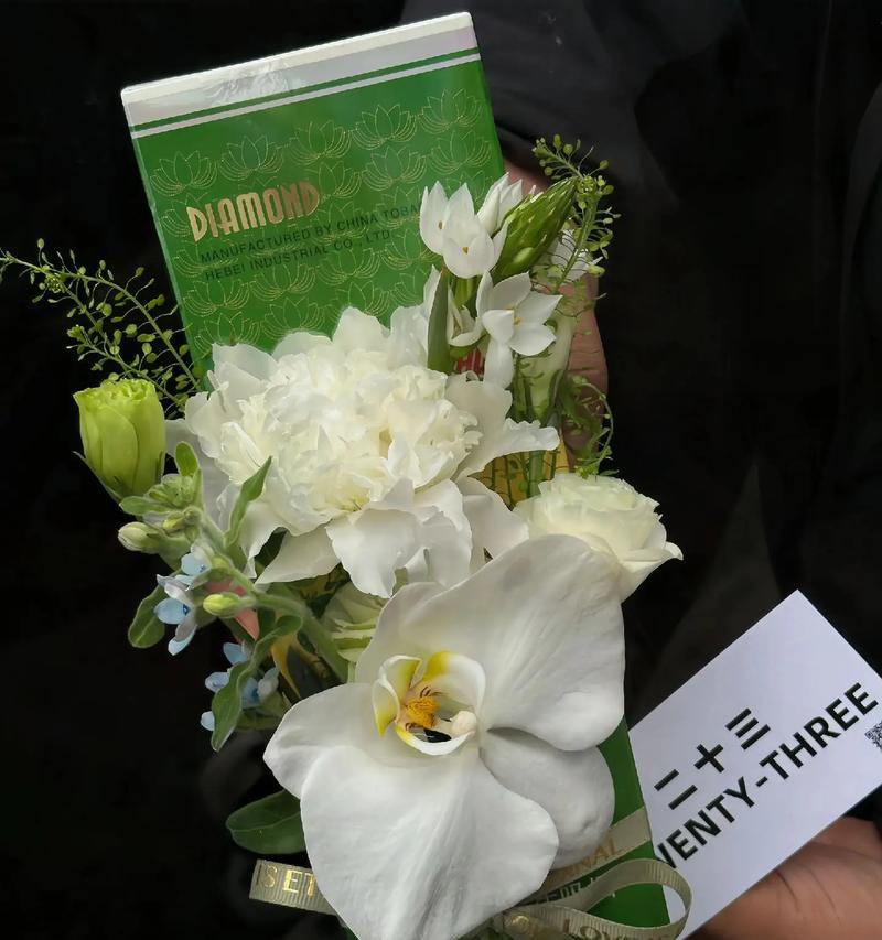 荷花之美（荷花）