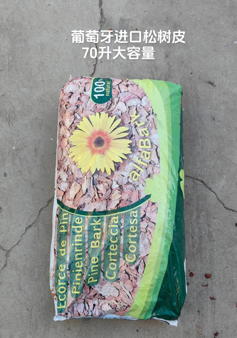 松针与松树皮（探讨松针和松树皮的美学价值，为兰花主题提供灵感）