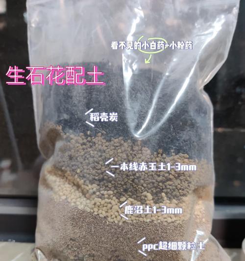 生石花栽培指南（打造最佳生长环境，为生石花提供营养均衡的土壤种类）