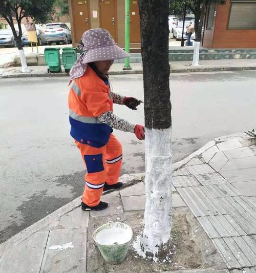 探究白株树的多重价值（解析白株树作为药用、观赏和固沙林带的价值）