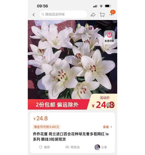 快手IR：娱乐直播与社交互动的新境界