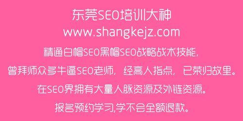做seo网站