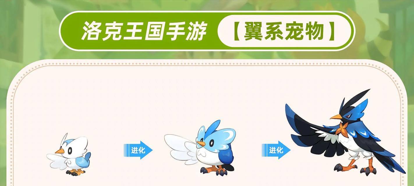 洛克王国翼阵战斗策略是什么？