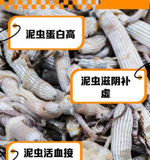 虫滚泥性格选择的建议是什么？