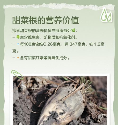 甜菜根获取方法有哪些？在哪个版本中可以找到甜菜根？
