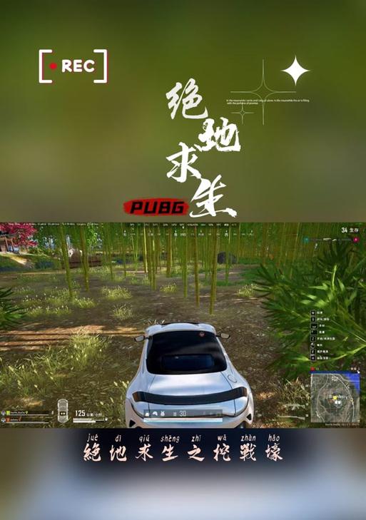 绝地求生镐子挖坑技巧？如何快速挖掘？
