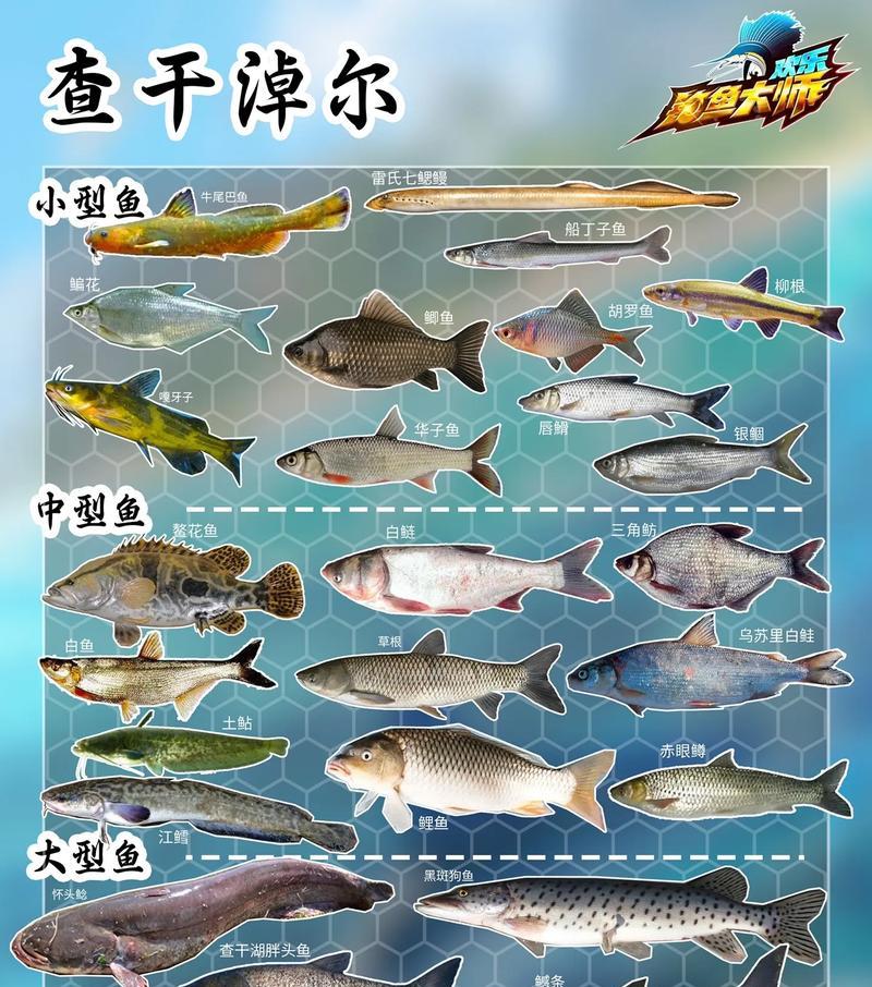 寻仙钓鱼岛钓鱼方法是什么？钓鱼岛有哪些特殊鱼类？