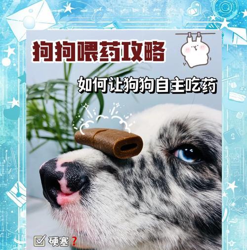 龙之谷中打狗时如何正确喝药？喝药的时机和技巧是什么？
