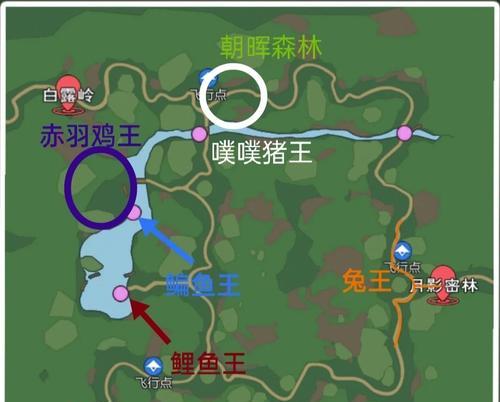 《海岛纪元》游戏中鱼王位置解析（哪里有更多的鱼王）