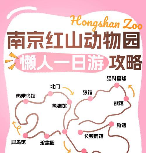 《动物森林推流程攻略》（玩法详解）