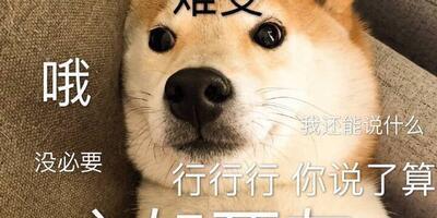 熊猫阴阳师脚本无法使用原因？