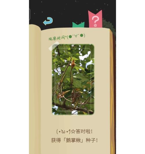老农种树云存档（从土地到云端）